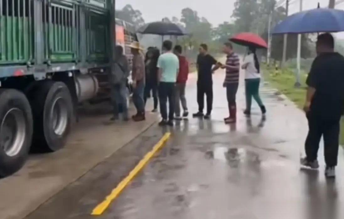 这不过是一场“伪善”的闹剧！近日辽宁一名女子得知茂名屠宰场有一批刚出生不久的乳