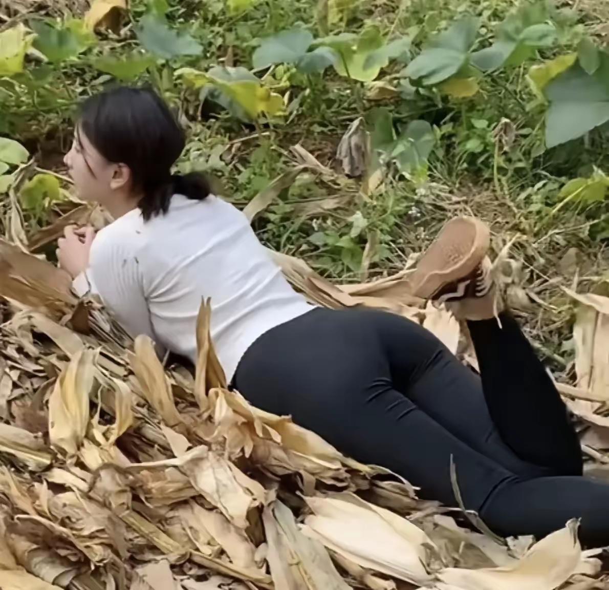今年玉米大面积绝收，你那还好吧？