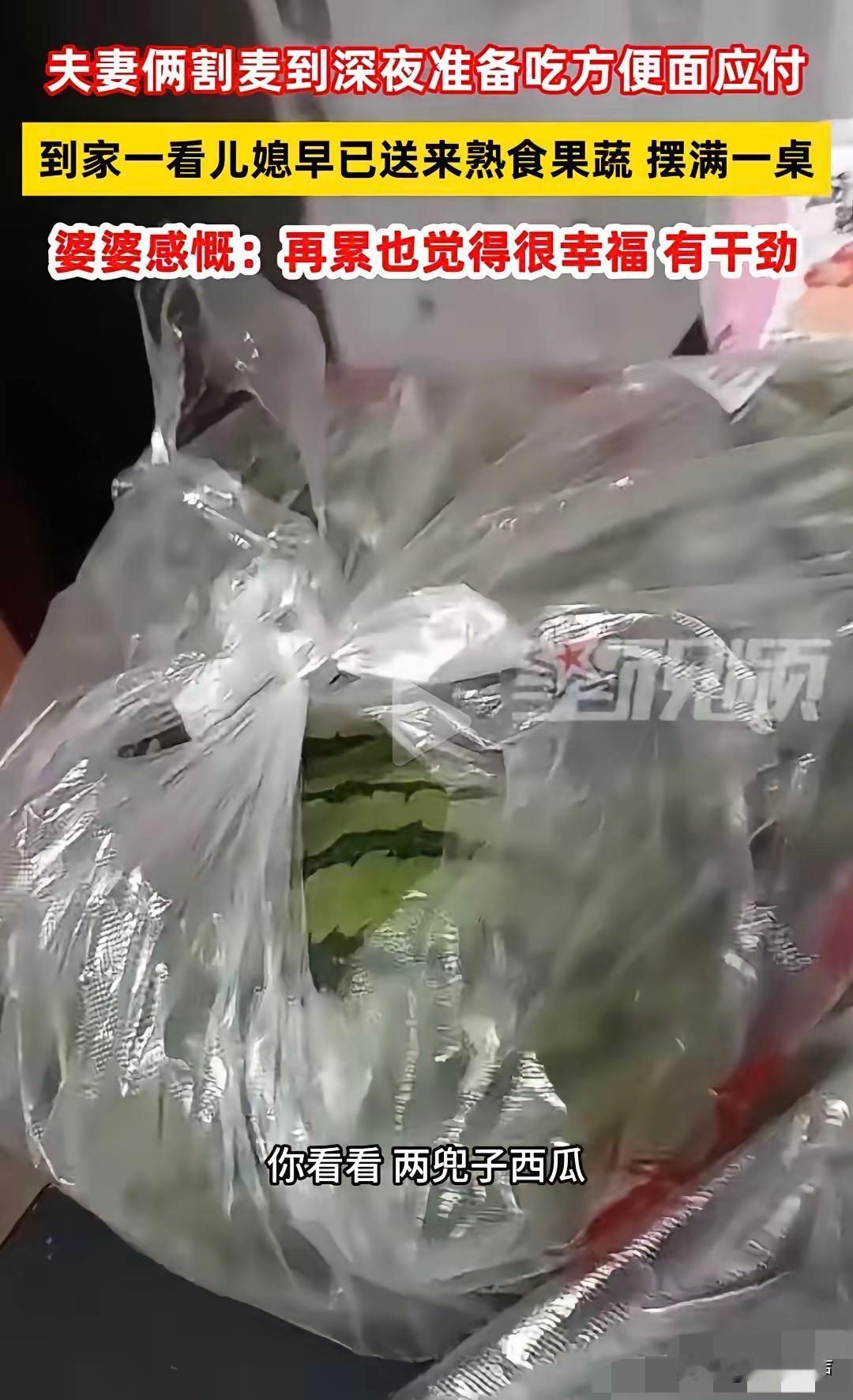 “真好！”河南，老两口割完麦子到深夜，打算泡方便面对付一口，进屋惊喜发现一大兜猪