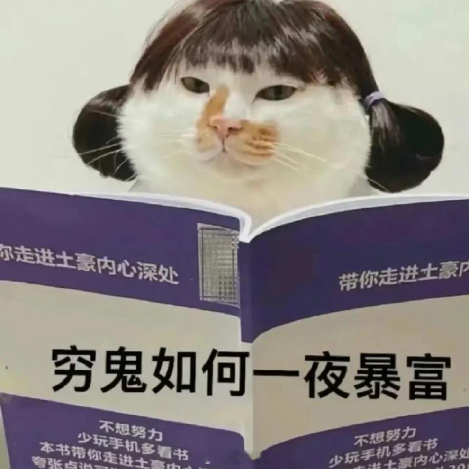 男子买15元彩票中1404万为啥每年年底这样的报道都特别多，这么多人先富了，我的