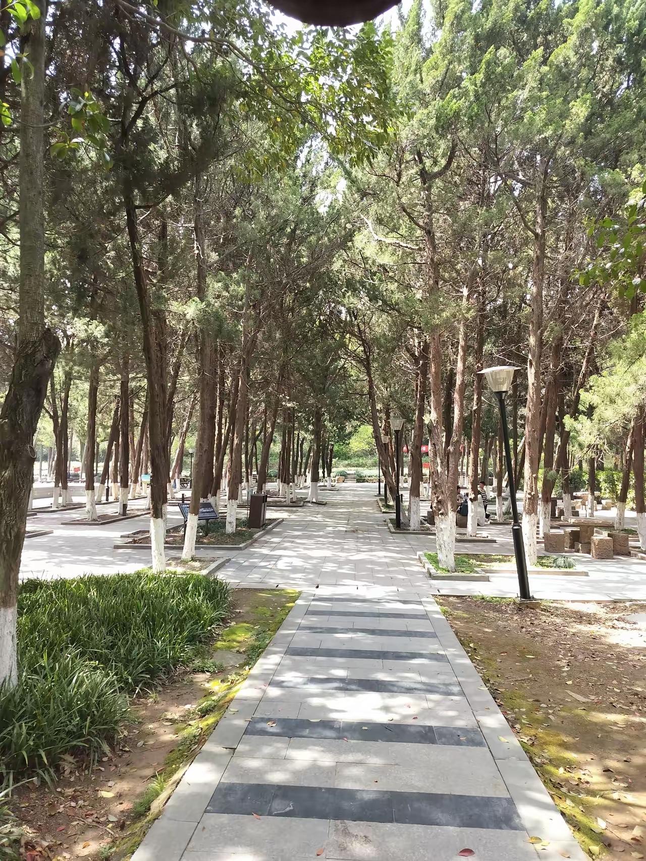 弟弟跟我说，他想离婚，说他看到他丈母娘就烦，下班都不想回家了。弟弟结婚一年多了，