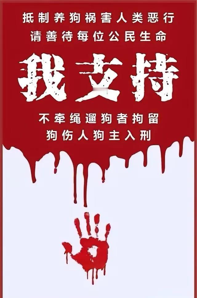 就在很多人在网上讨论“城市到底该不该养狗，怎么养狗”这些问题时，2025年7月在