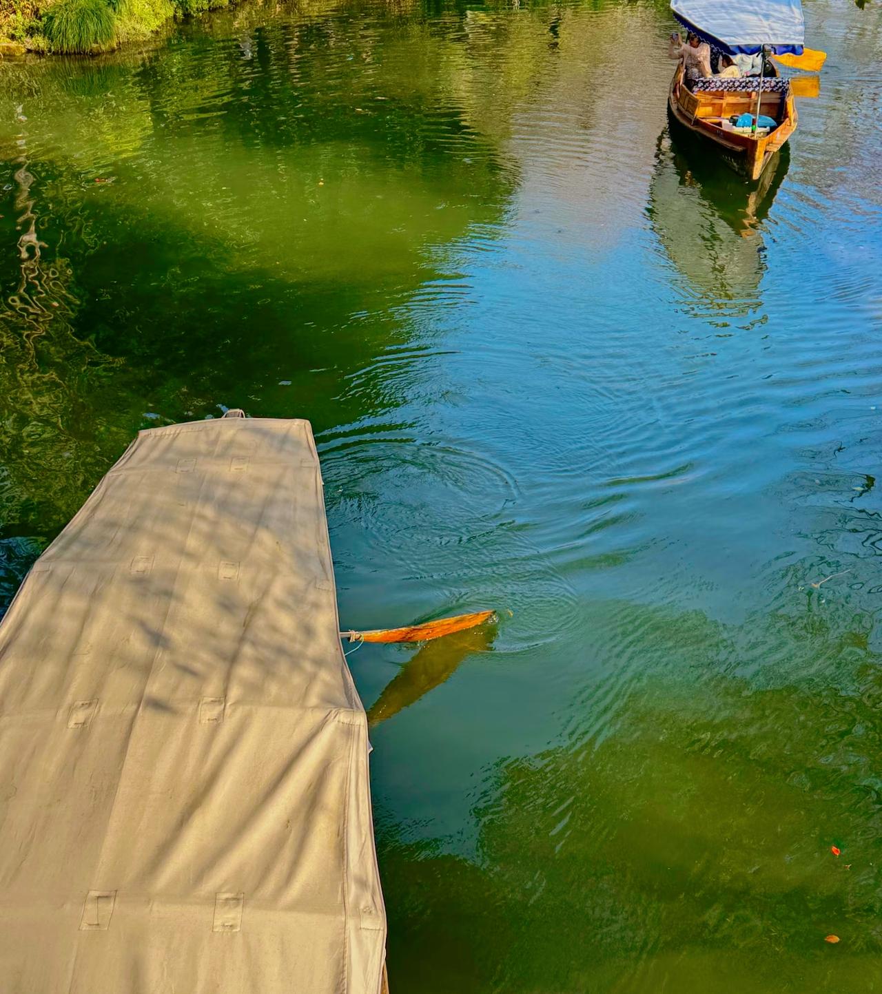 男女关系就是最难得的是真诚，最可怕的是虚假。男人不奔赴，女人就不会倾心男
