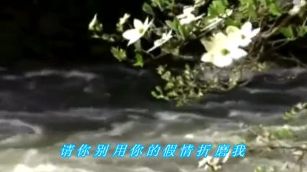 假情真爱简谱_假情真爱(3)