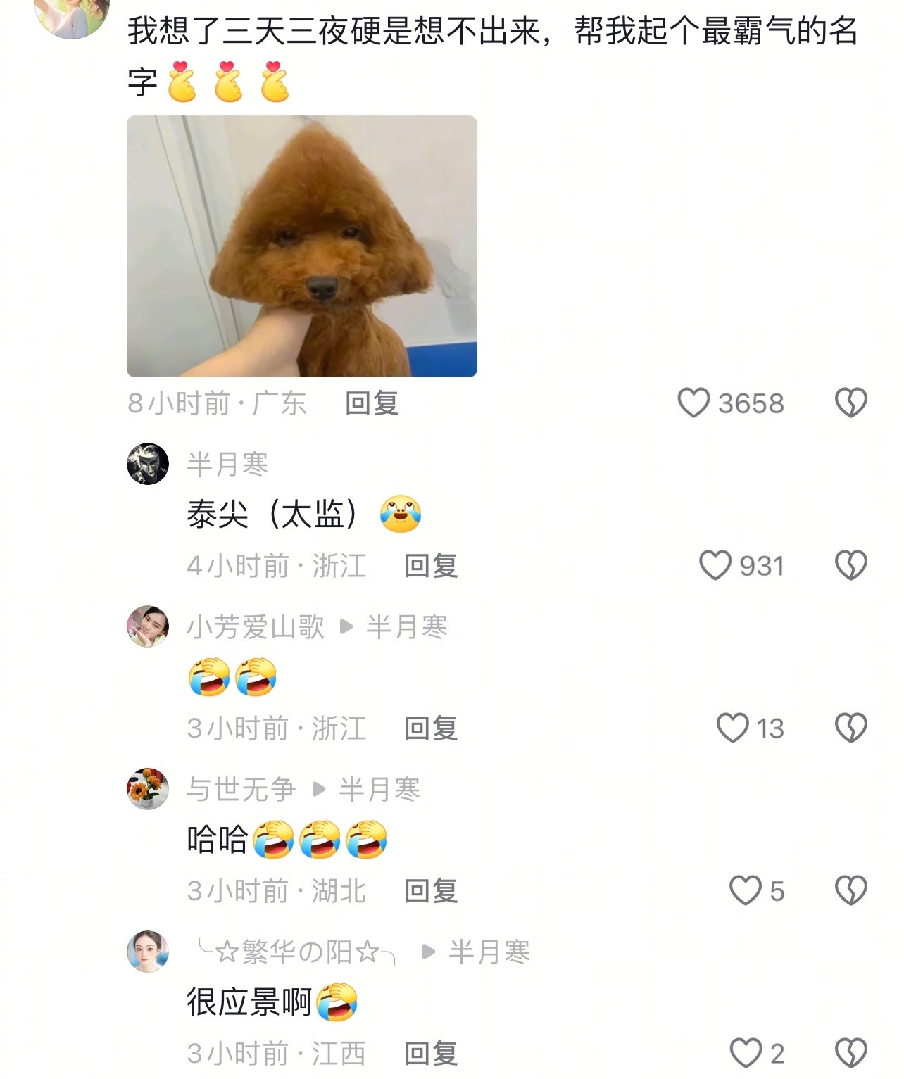 哈哈哈哈哈哈哈看动物取名趣事，笑翻在评论区里！！！！！[捂脸哭][捂脸哭]​​​