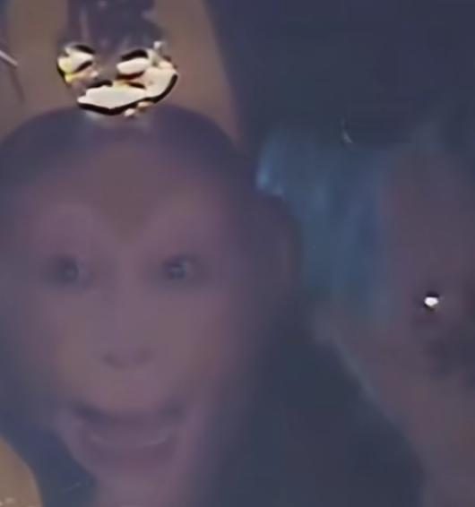 西游记记忆篡改疑云：你还记得孙悟空手心的是卍还是禁吗？最近，不少
