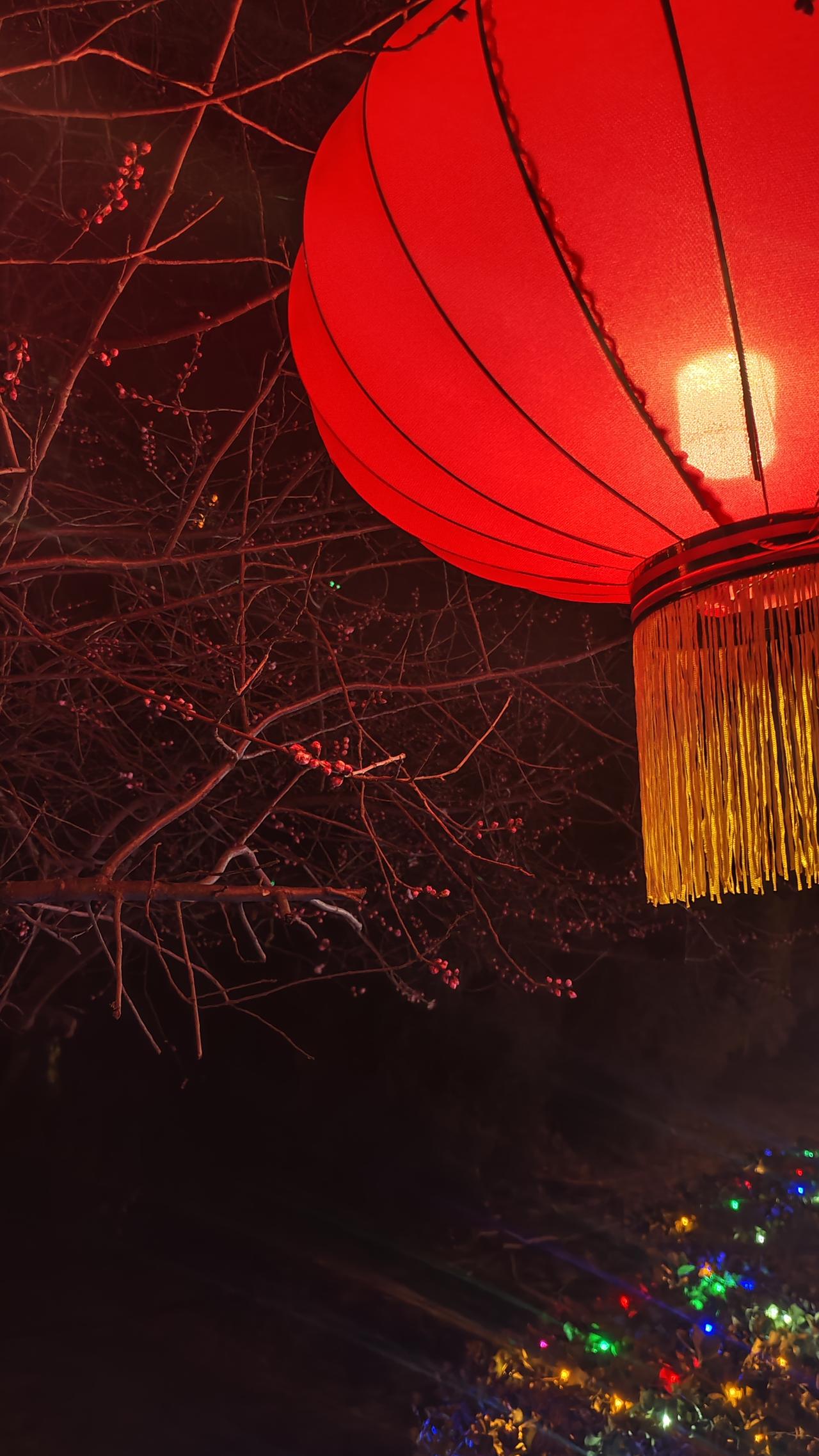 人的一生最大的财富是什么?人最大的财富是什么？有人说，人最大的财富是腰缠万