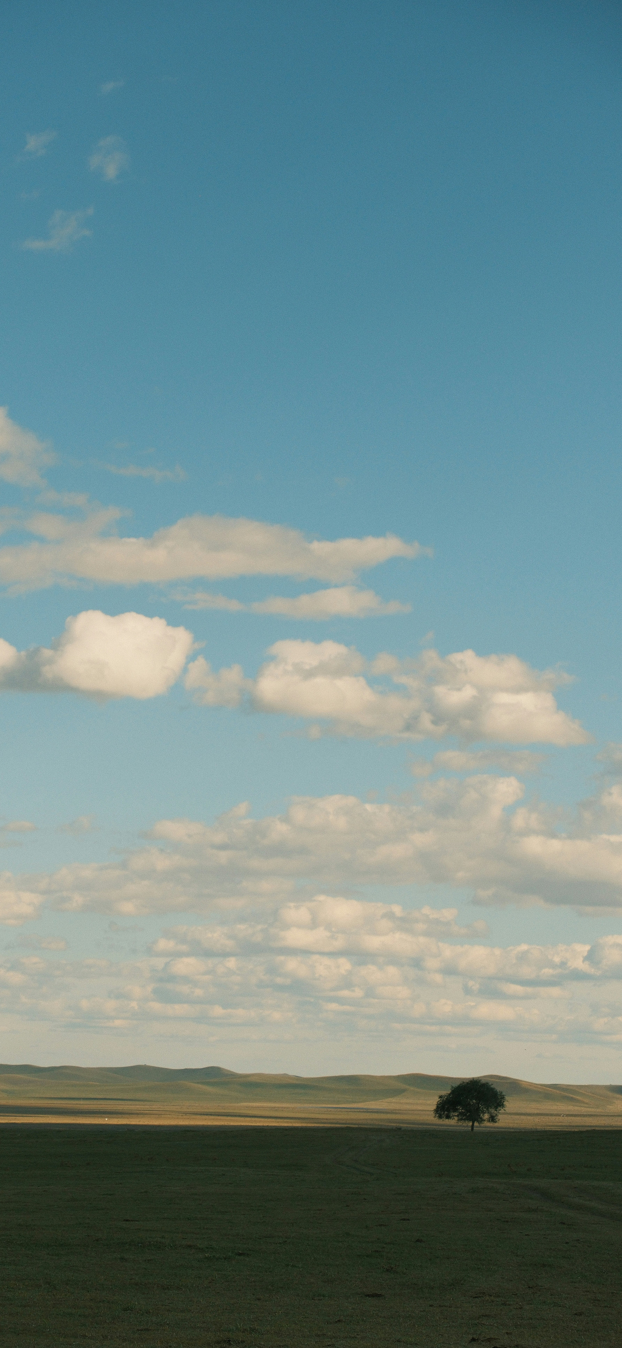 早又是一天风景壁纸