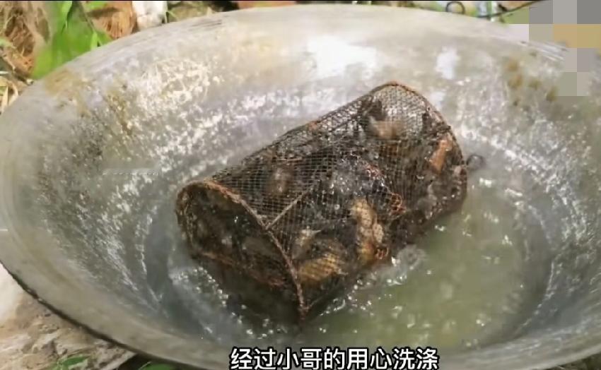 越南美食水煮蝙蝠，蝙蝠长这么丑，越南人撒上辣椒粉调味粉就撕开吃了蝙蝠长那么丑，