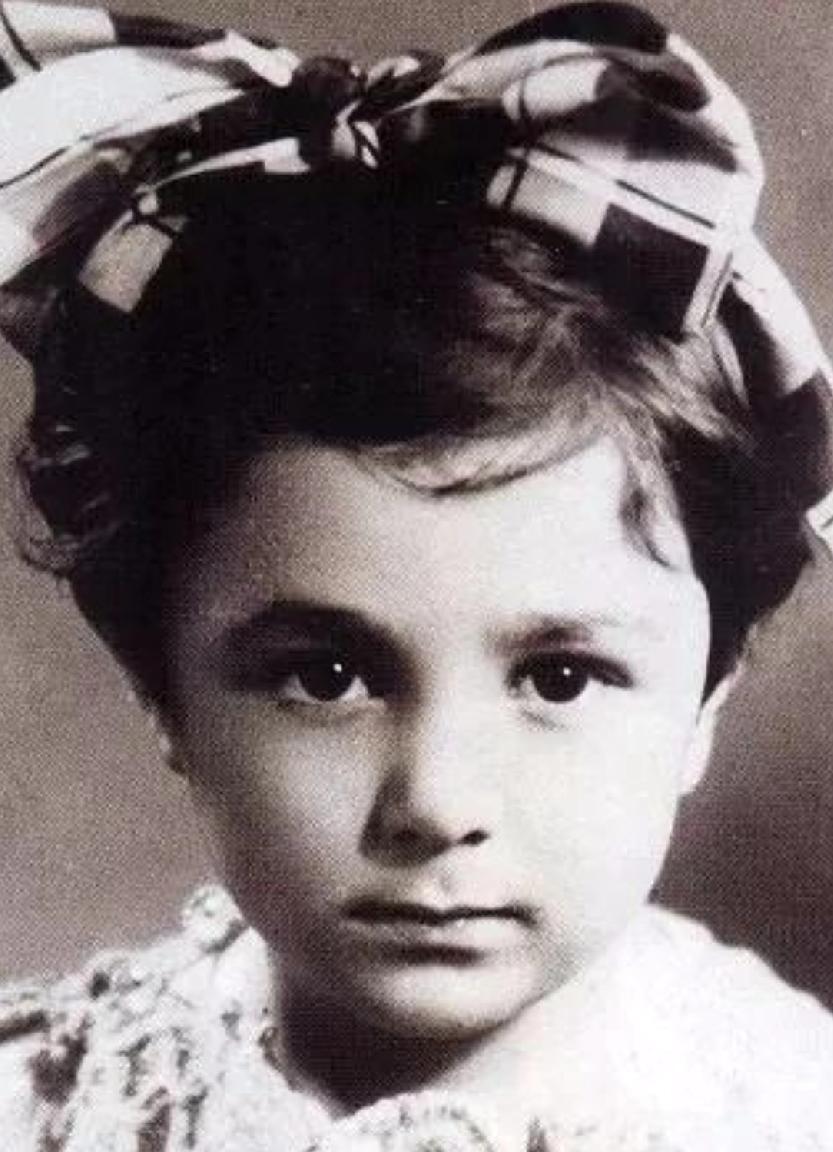 法拉赫是伊朗巴维列王朝末代国王的第三任妻子，她是伊朗历史上的第一个加冕王后。这