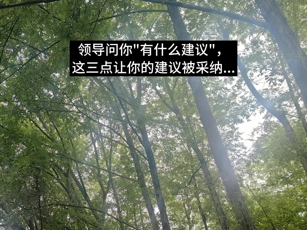 领导问你"有什么建议"，这三点让你的建议被采纳...我有个朋友老赵，能力很强