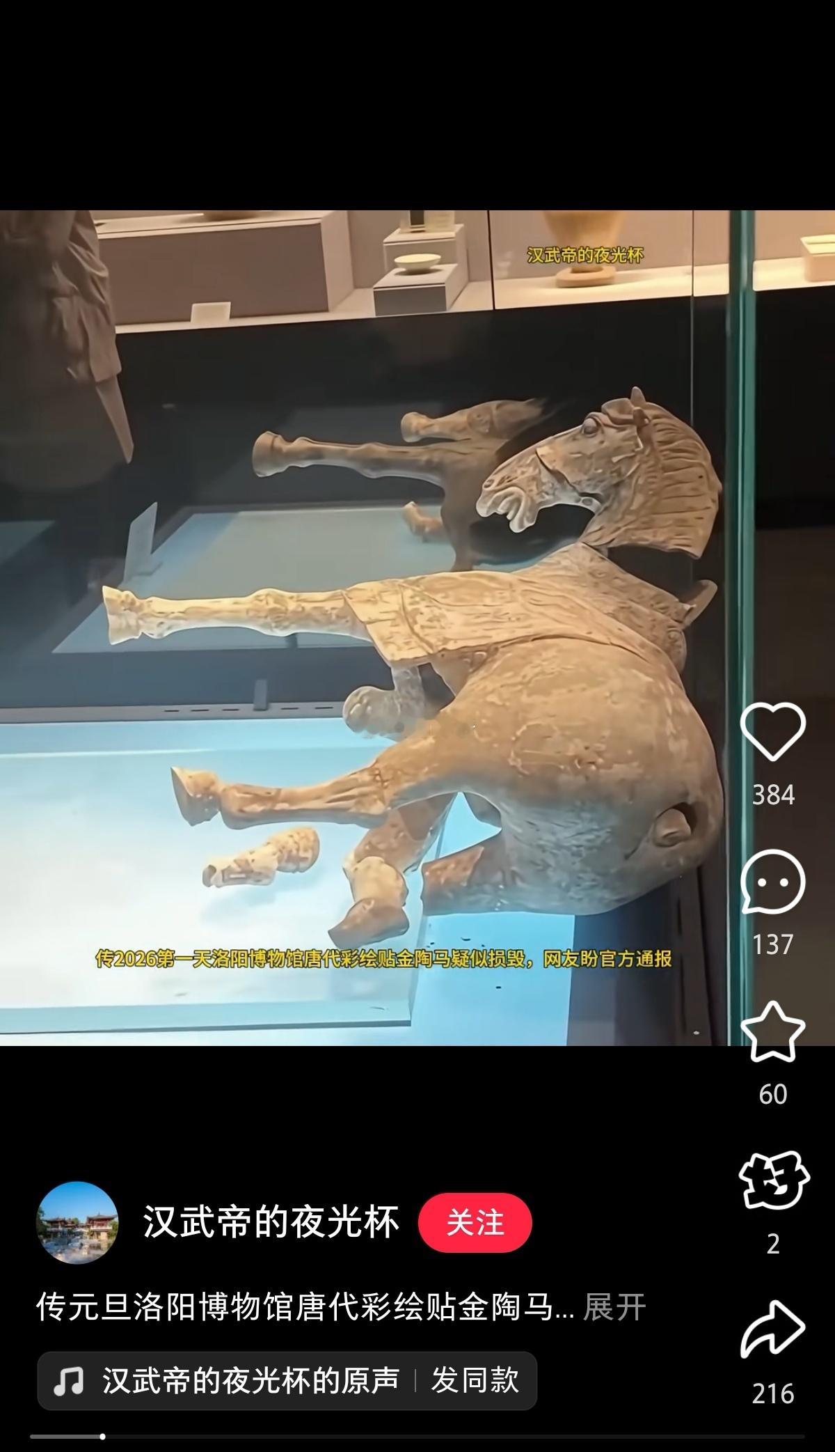 有网友爆料：昨日洛阳博物馆一唐代马俑倾倒损坏。博物馆