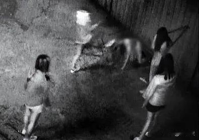 2015年，中国女留学生组织了一场令全美震惊的校园霸凌案，法庭上她竟目中无人，公