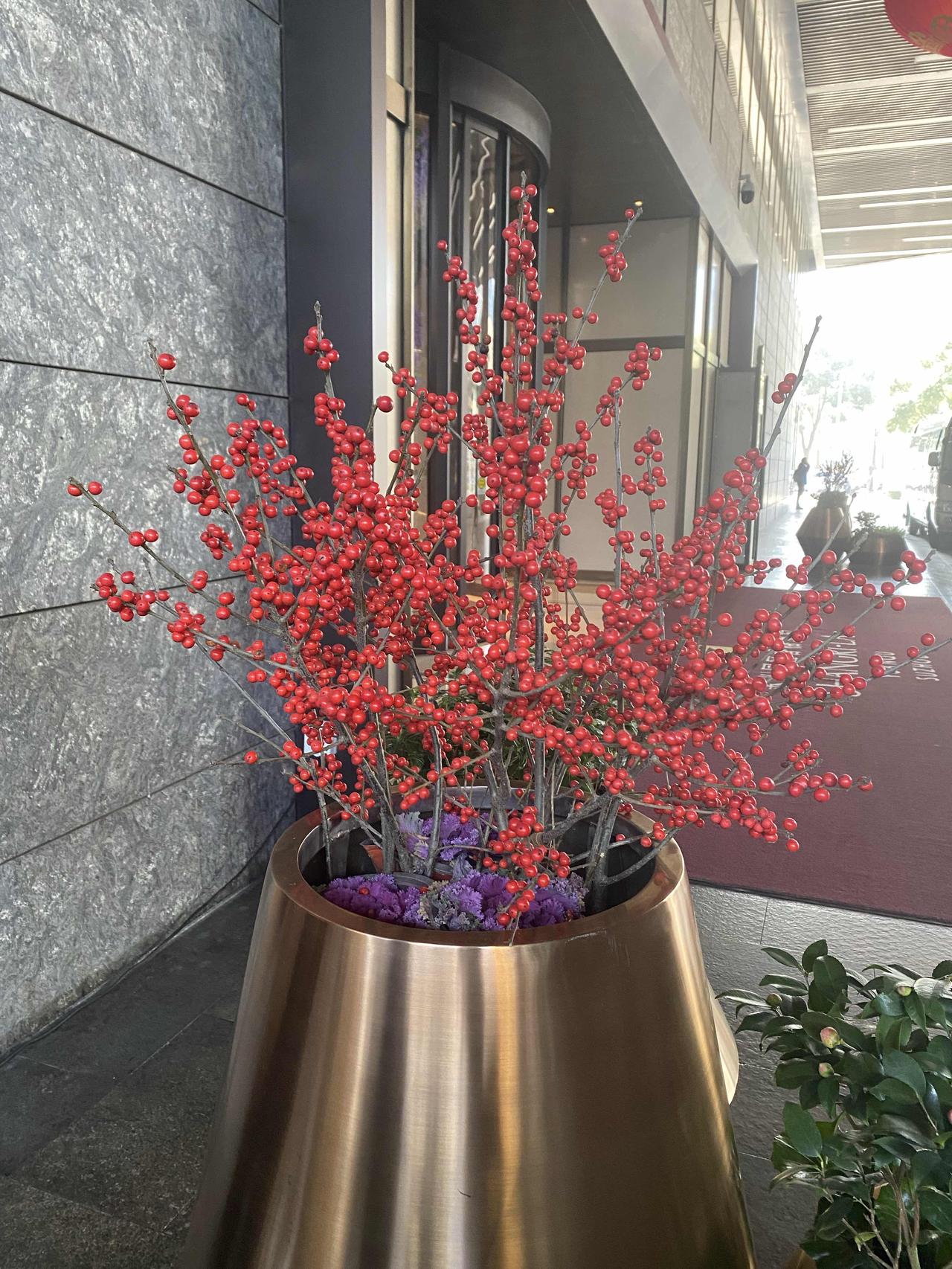 每日运势|6月15日五月初一圆满之日打算今天开个老黄历喜忌栏目，但愿