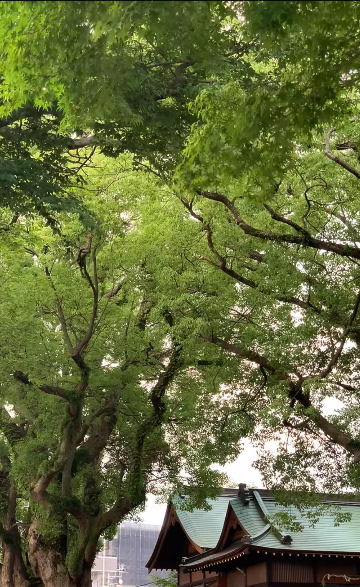 情感永远不要在人生的低谷时期去谈恋爱《皮囊》里说“常常熬不住的时候，
