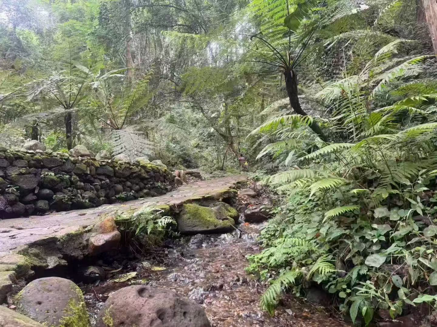 云南腾冲司莫拉佤族村，旅游打卡攻略！
