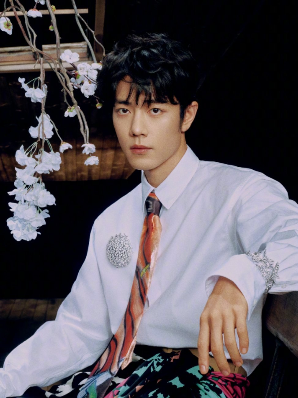 博君一肖磕到啦！战战每次拍杂志高奢珠宝都有寓意💛上次是最大「猫头」，这次是胡