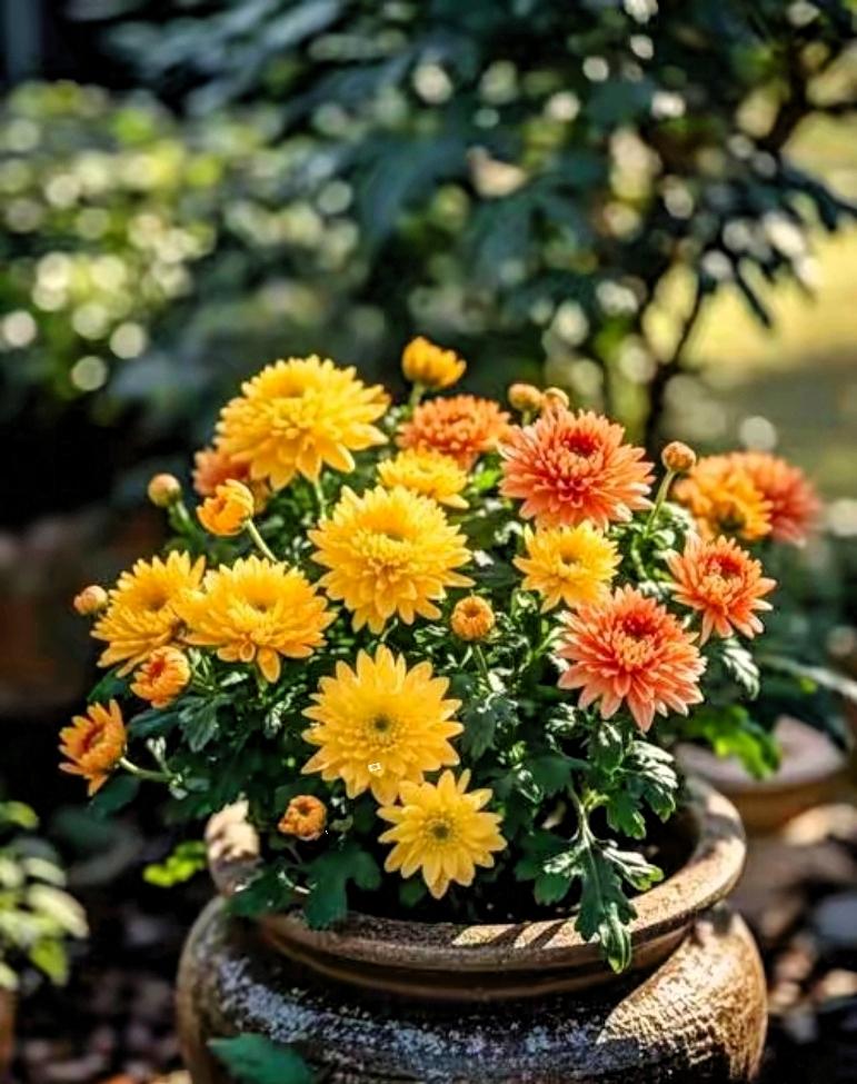 太奇怪了，只能用玄学解释。我家楼上有个96岁的老中医，他一生积德行善，救过无数