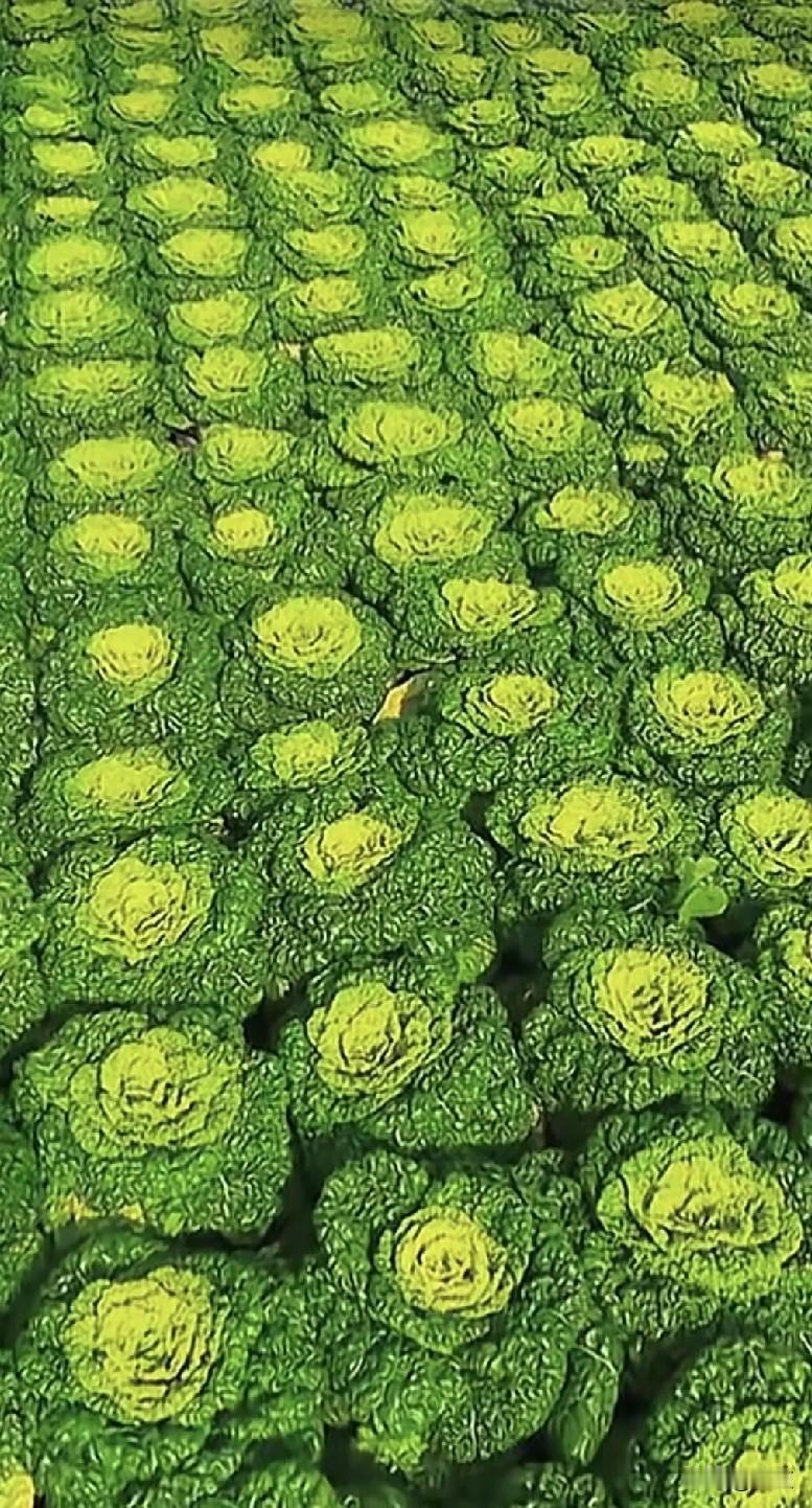 活了五十三岁才知道，夫妻之间并不是过的时间越久，感情越深，亲情越浓的。女人可能