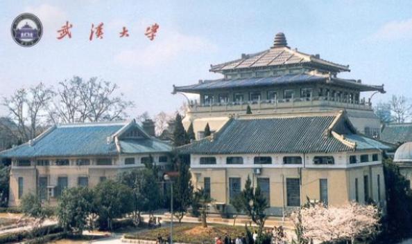 武大通报有漏洞！肖同学撤处分是应该的，杨某保学位才让人想不通！武大这份
