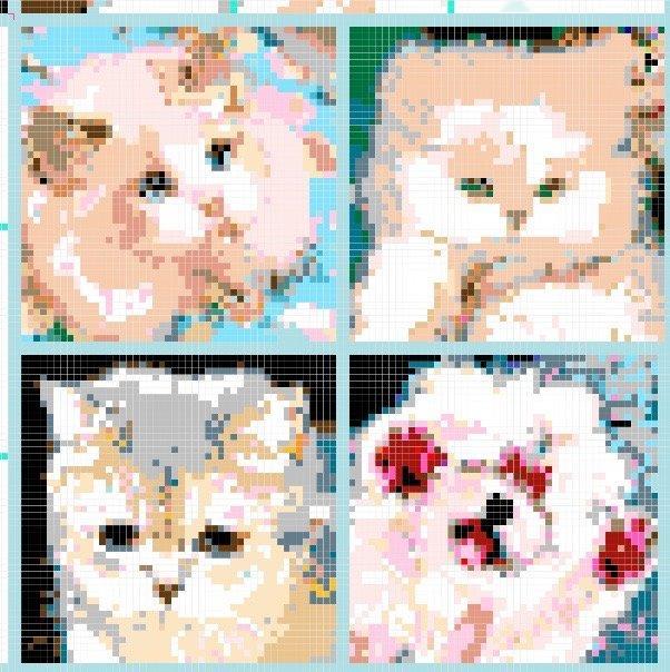 你别说你真别说鹿茸把白鹿三只小猫🐱maymayChristmasru