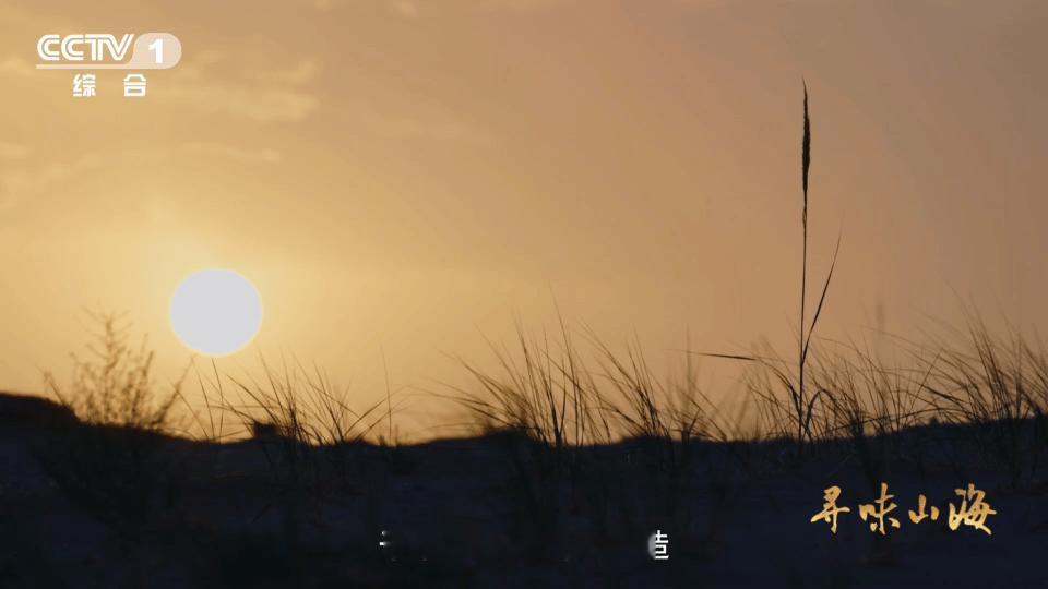 新疆买葡萄干也分色号原来如此！新疆葡萄干的五颜六色不是品种不同，而是日照时长造