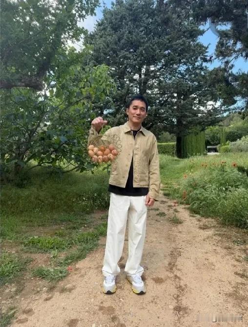 梁朝伟在法国南部的一间庄园里，养鸡捡鸡蛋，一脸的惬意舒适，松弛感十足，感觉这才是