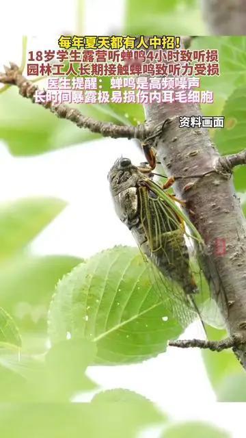 “现在孩子都是纸扎的吗”？7月28日报，18岁的杨同学，暑假独自进山露营，正午山
