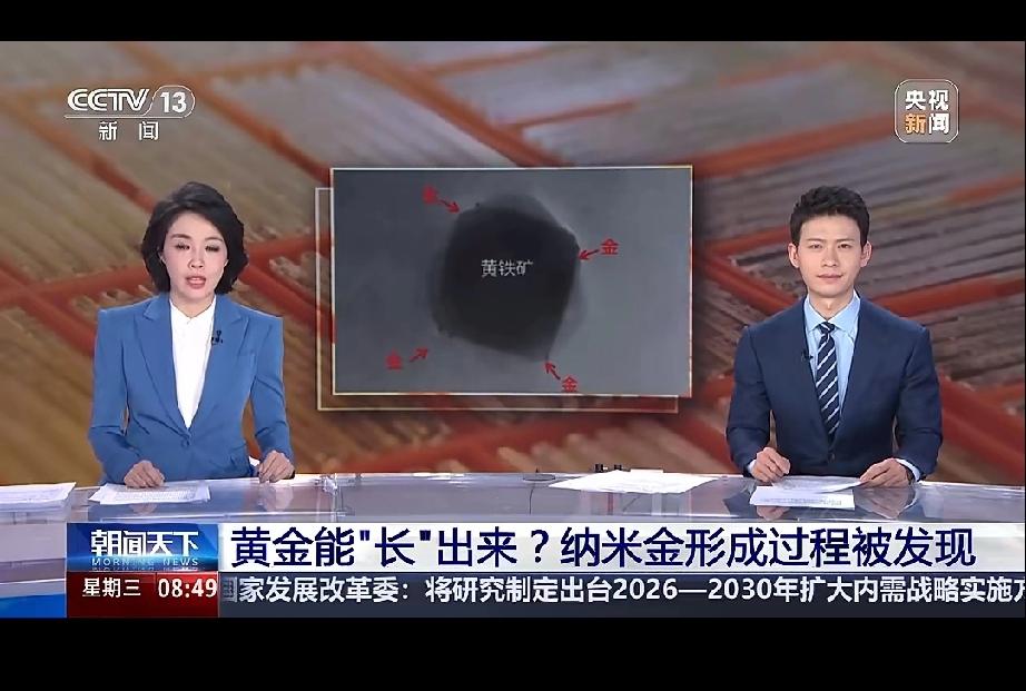 黄金也可能迎来“人工培育”？央视的朝闻天下播出黄金是能“长出来的”，广州的科学