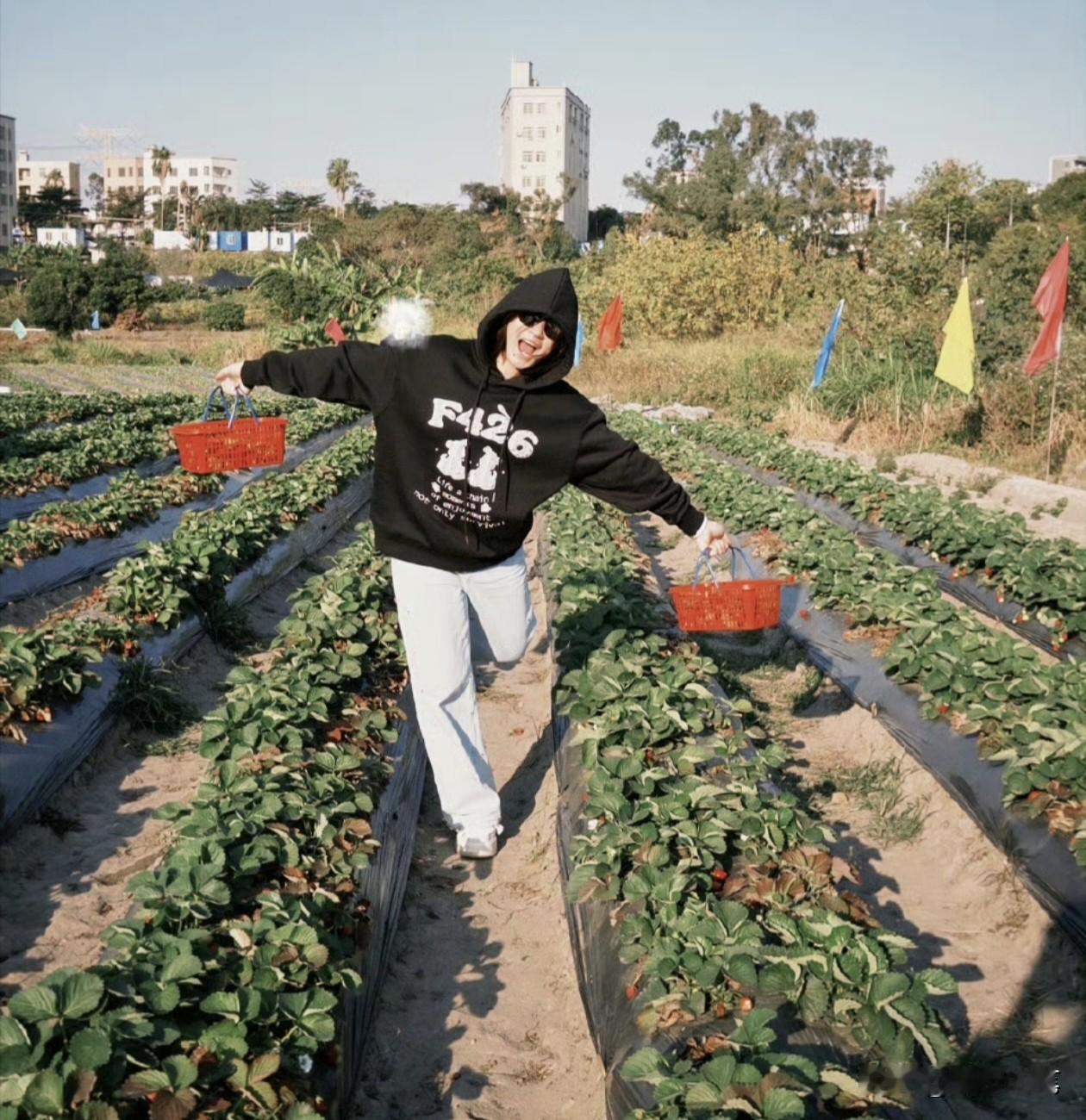 全红婵回村度假的日常分享也是独一无二的。全红婵之所以这么受大家喜欢，除了跳水