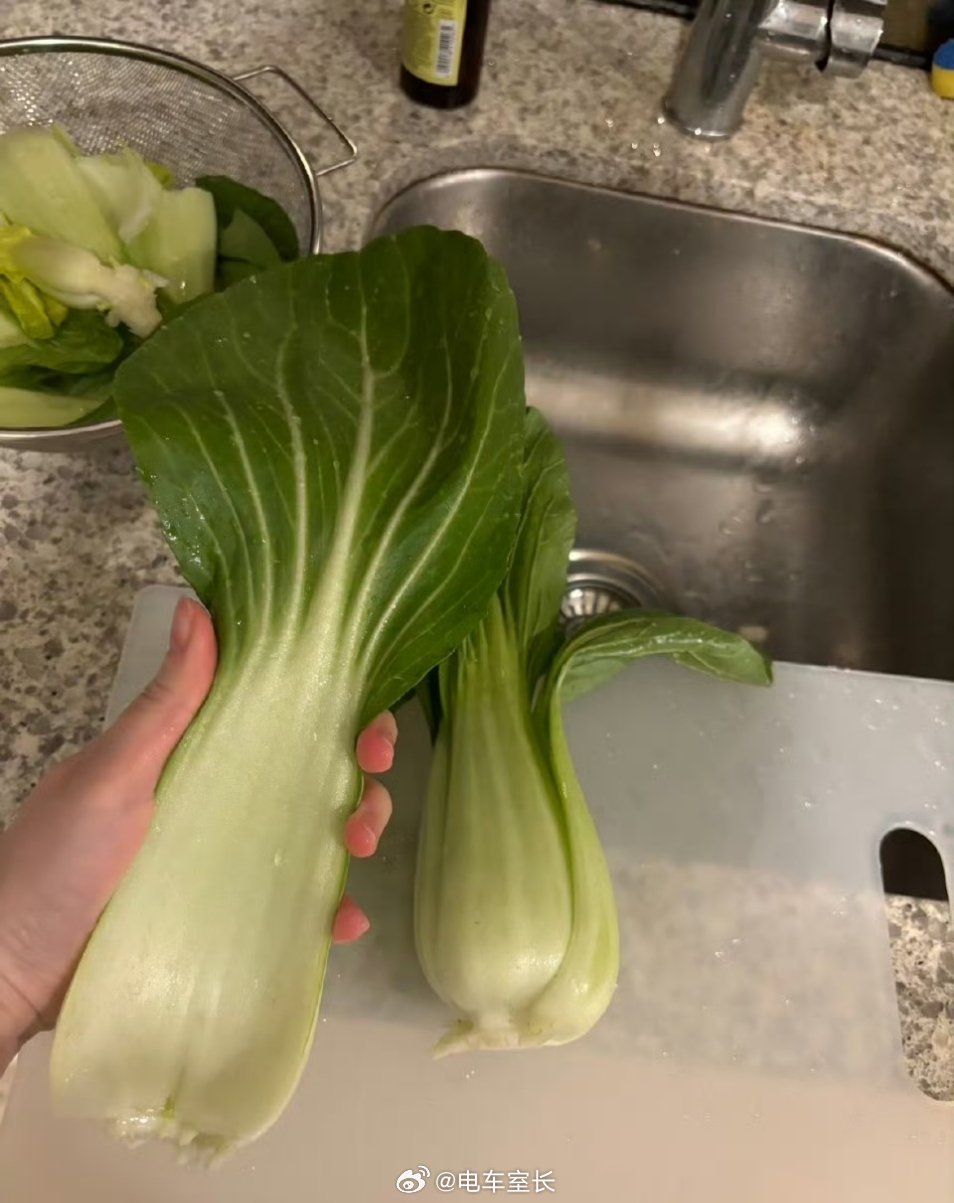 澳洲你管这个叫青菜中国人买青菜基本按斤，澳洲人按个和片？我一餐最多吃半