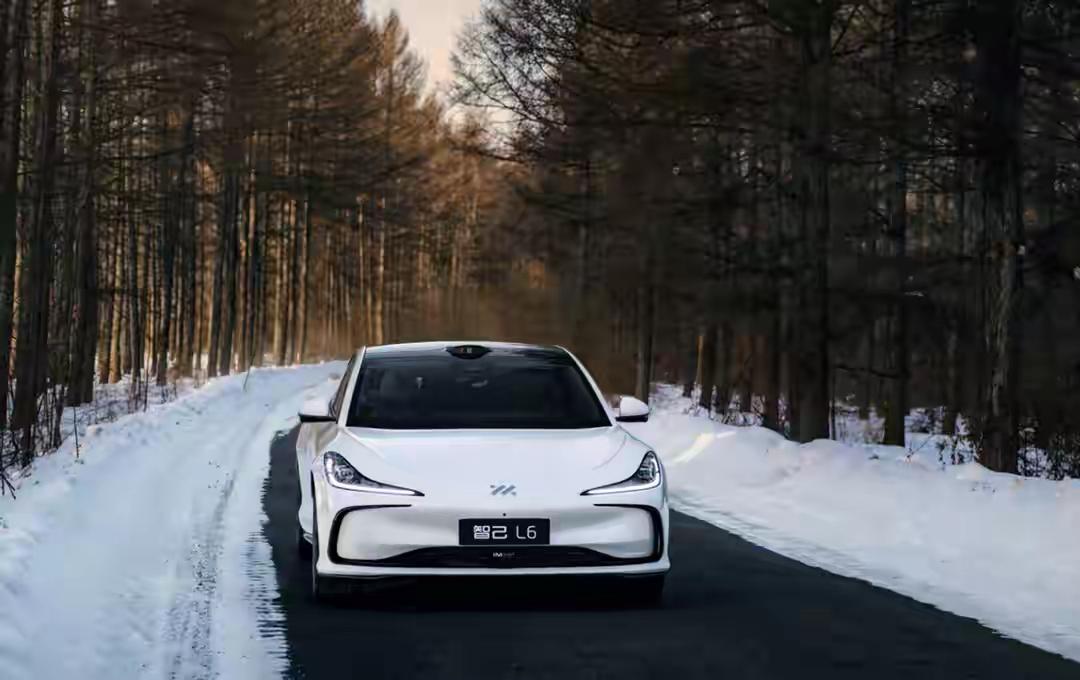 权威数据显示，未来能存活的车企主要分五类:1.新能源领军者，特斯拉（自