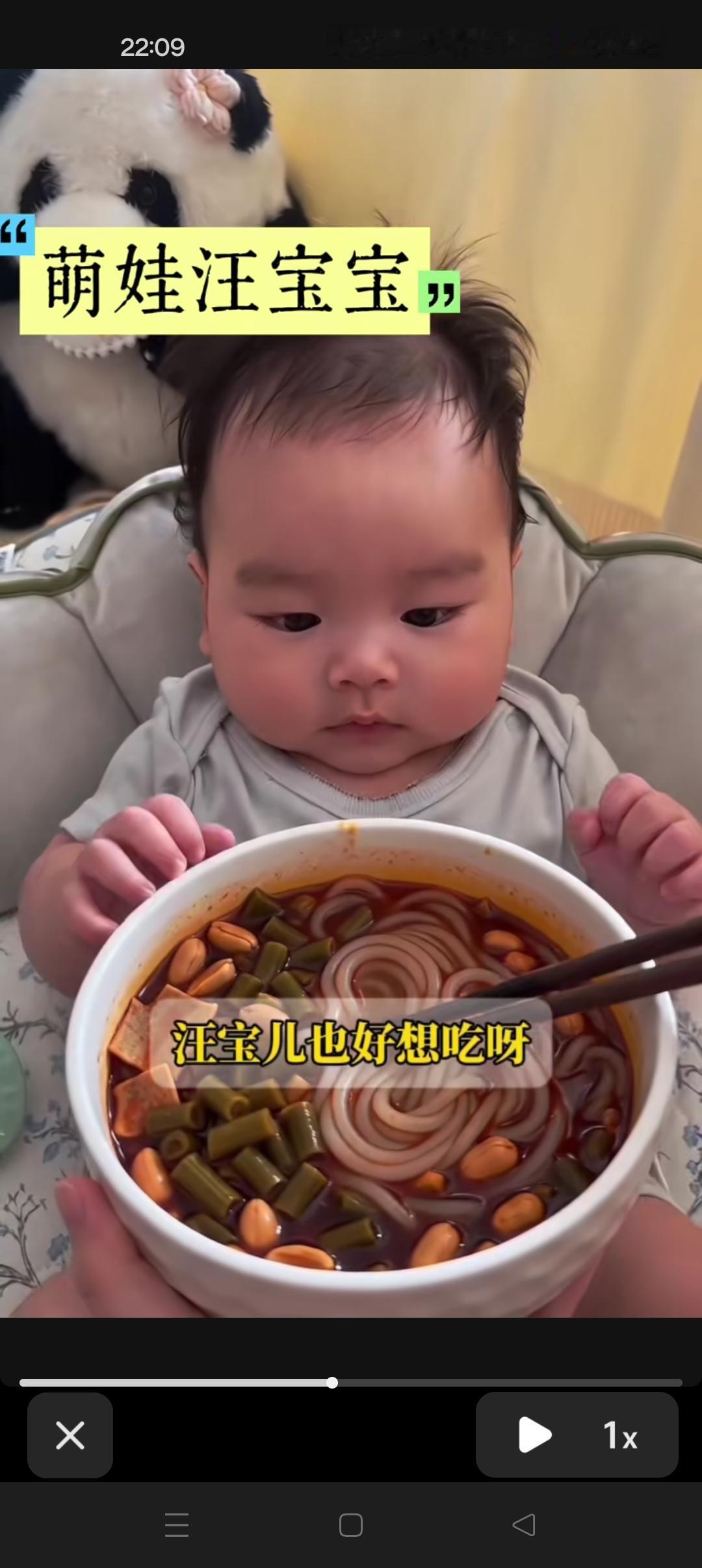 汪宝想吃酸辣粉！😍太辣了，吃不了😂可爱的小汪宝，太乖了[赞][赞]