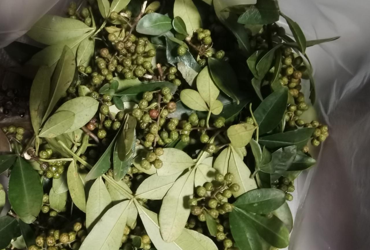 真的是一看就会，一做就废。现在是做麻油的最好时节，我从菜市场买了两斤花椒，共1