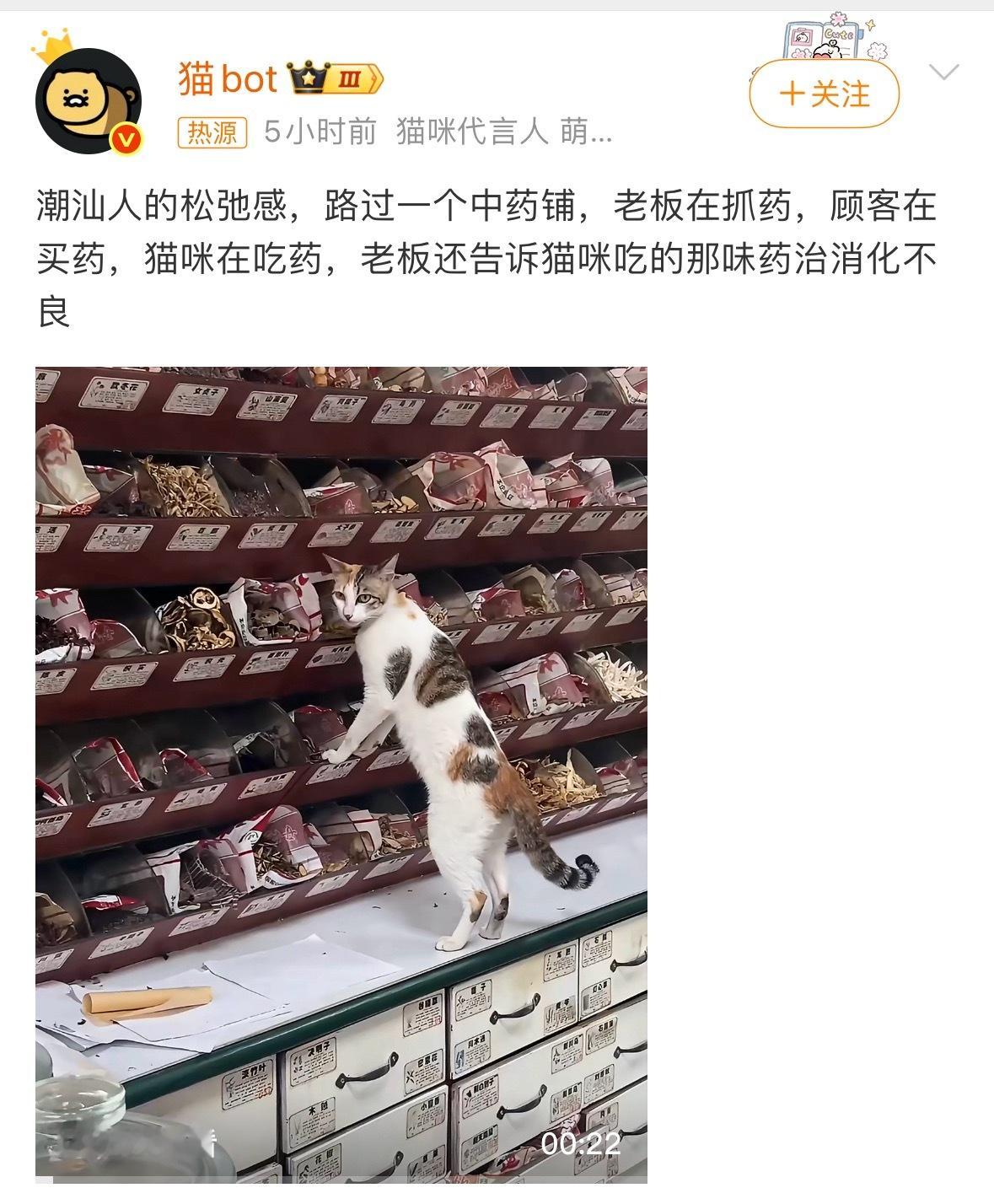 老板在抓药顾客在买药猫咪在吃药这卫生条件值得一查