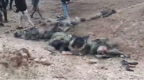 叙利亚科巴尼方向，到处都是库尔德游击小组，朱拉尼的手下又被打死了一地，身上的武器