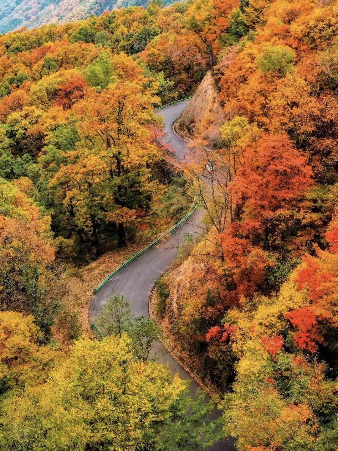 分享一张绝美的风景照片