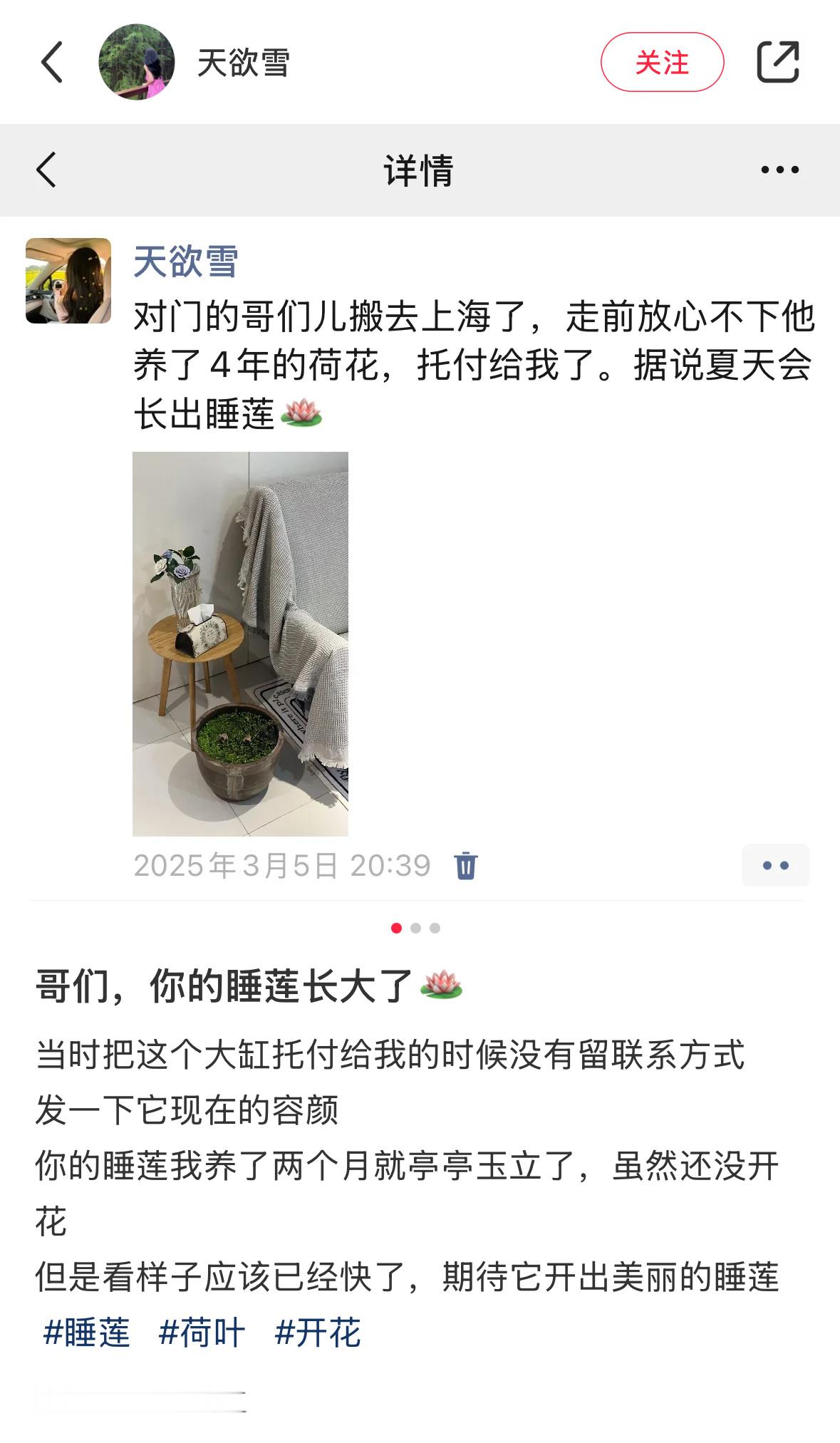 哥们放心不下他养了四年的荷花，托付给了我​​​