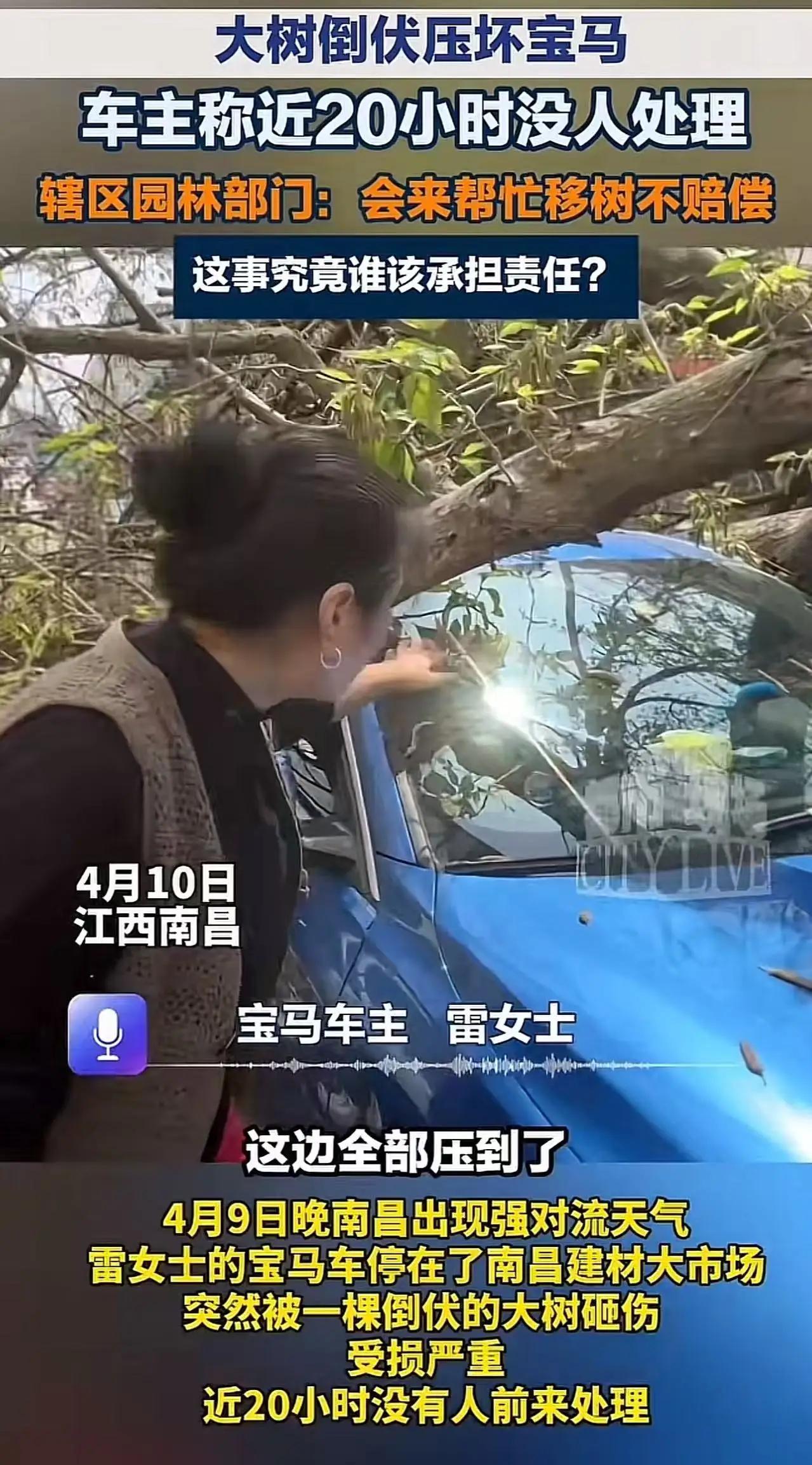 江西南昌，女子把车停在路边，大树倒下压坏保安，将近20小时没人处理，而且园林部门