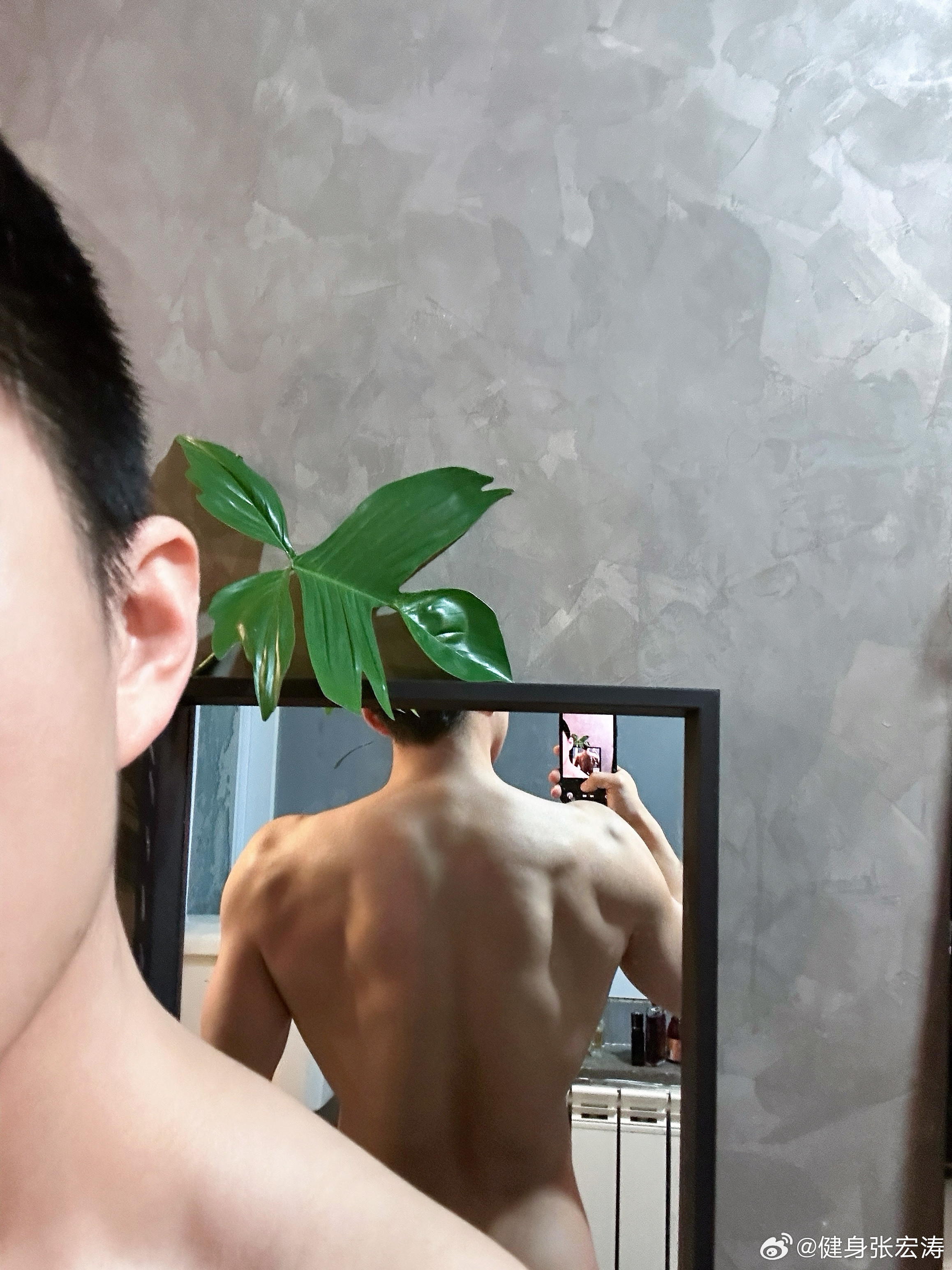 不知不觉中似乎已经不需要3/4展背就可以看到明显的背部肌肉了健身张宏涛