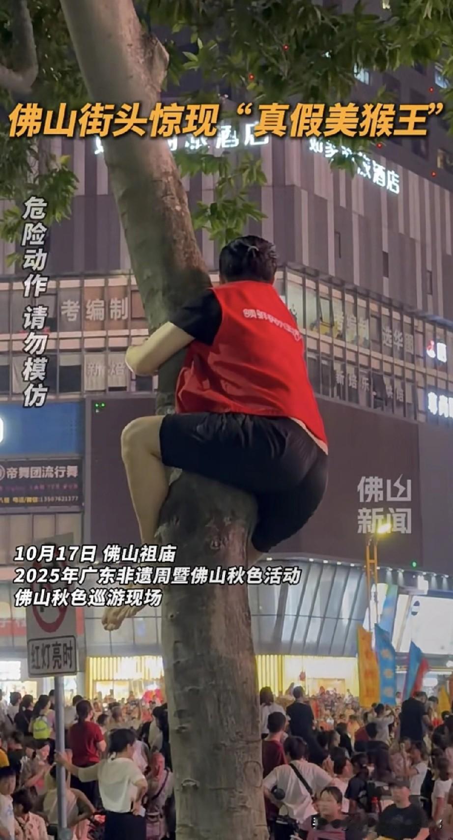 佛山秋色惊现爬树美猴王！为看非遗巡游！佛山秋色彻底把人逼成“猴”！为了看非