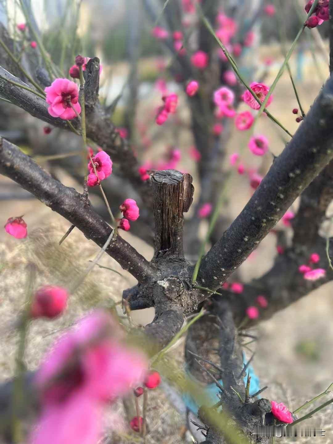 一、招生政策的变化近年来，随着国家对高等教育质量的重视和研究生教育规模的扩大，