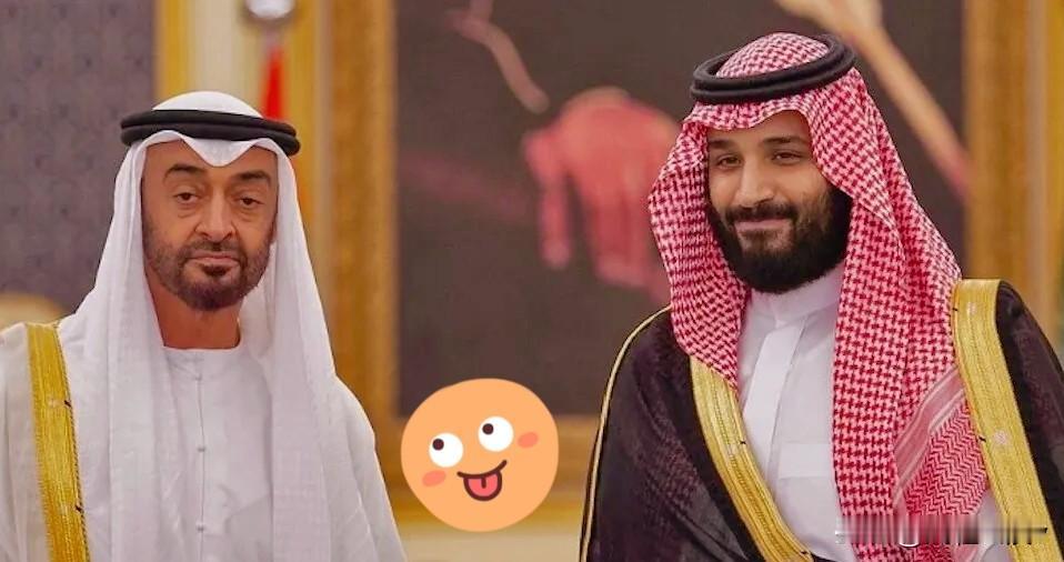 12月26日，沙特时隔许久再次空袭了也门，不过很多网友看到这个消息，可能是一脸懵