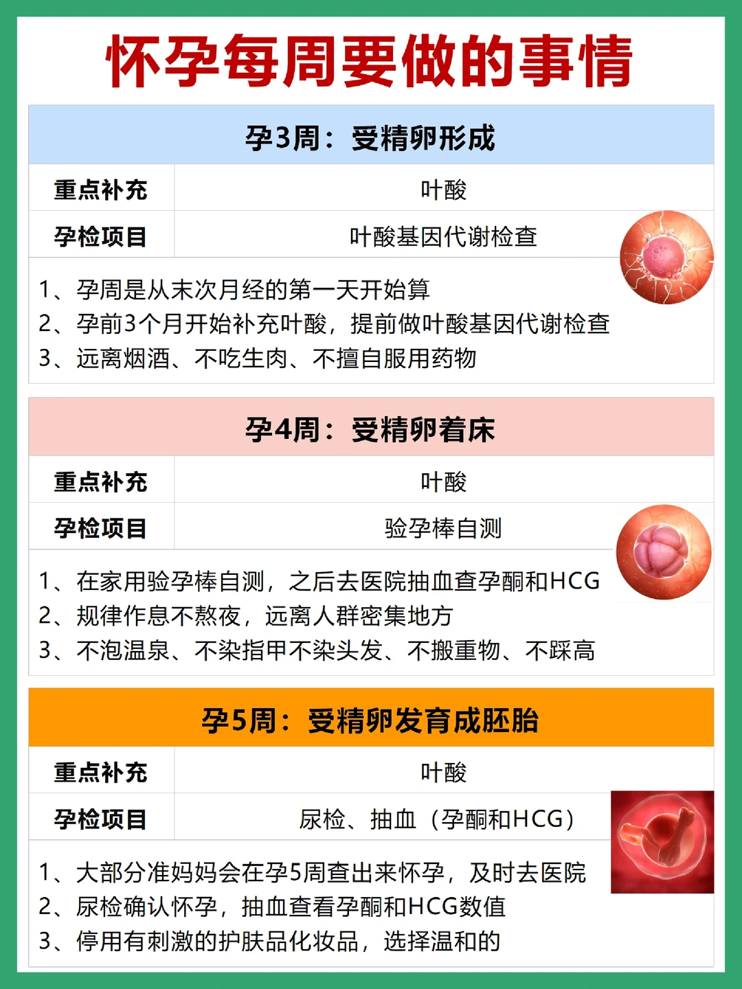 怀孕后每周做什么？有人早告诉我这些就好了