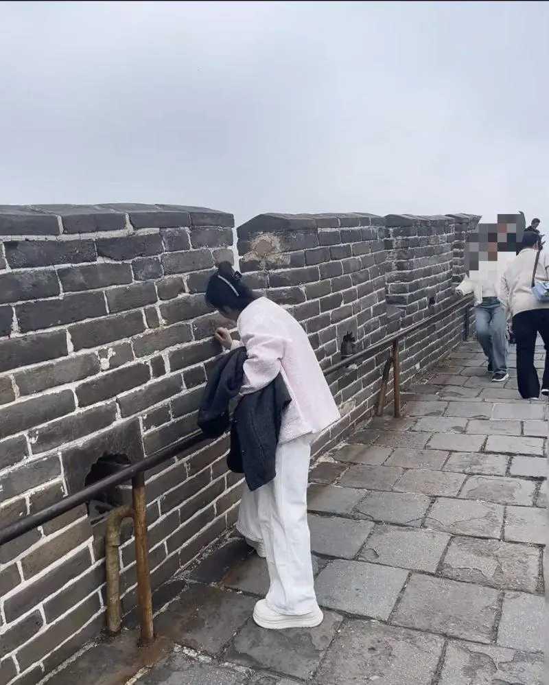 怒！八达岭长城好汉坡现“刻字女”，劝阻后仍我行我素，警方立案、景区拉黑终身限入！