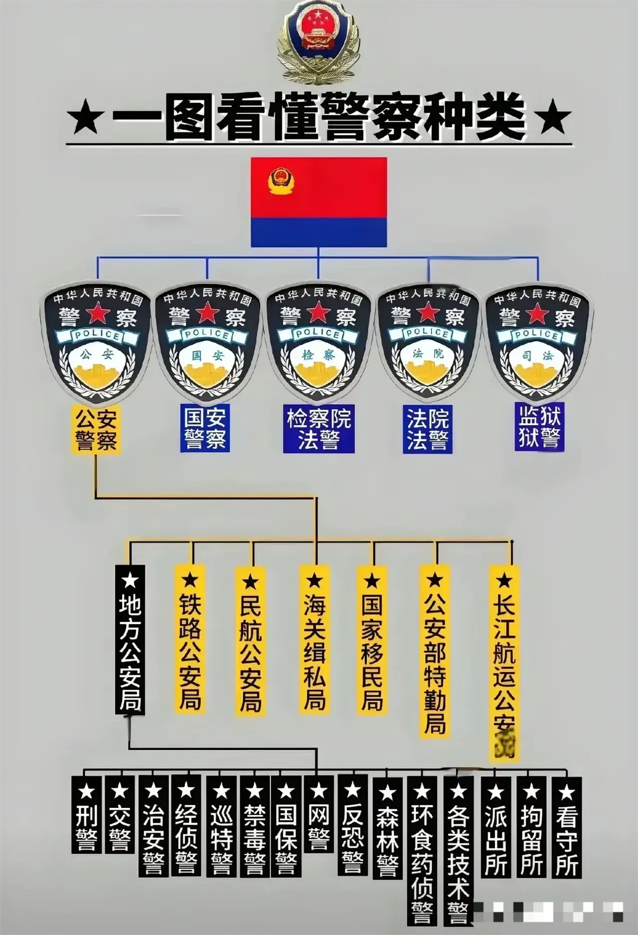这张图展示了中国警察的种类和结构。