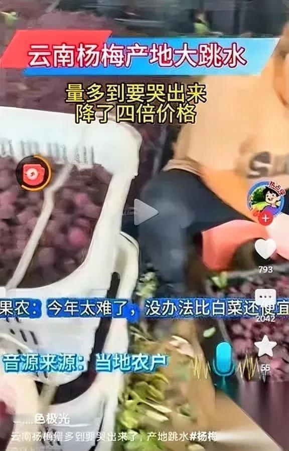 果农真的没责任？我看不见得。为啥出口的果子和内销的永远两个标准？别总