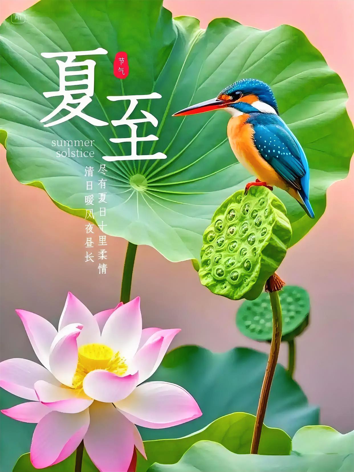夏至荷塘醉，粉瓣盛放正当时，一盏清茶伴莲香，仲夏暑盛万物并秀，心随花静。夏至荷