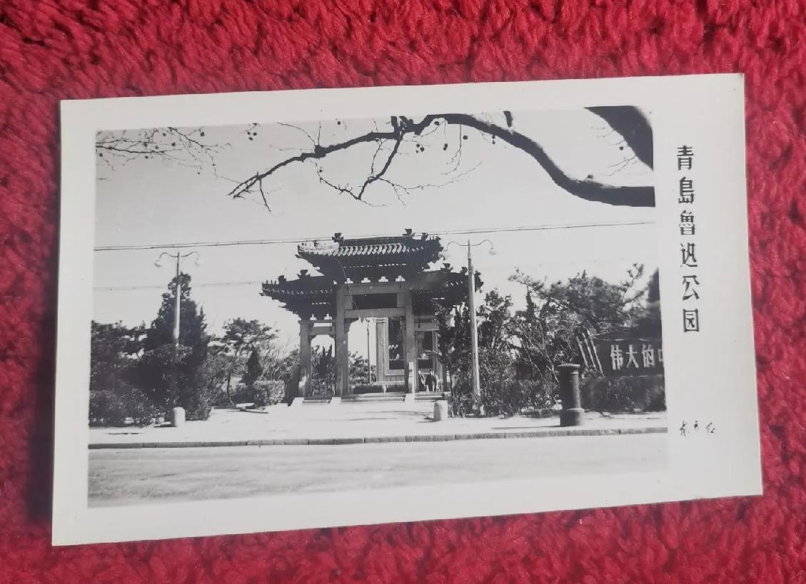 不知有没有人到过青岛的鲁迅公园，也不知这个载入史册的鲁迅公园，还在不在，还是否用