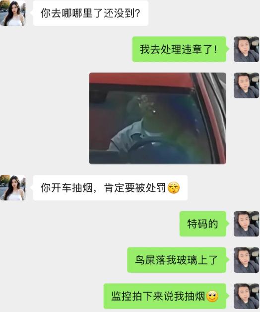 本来开开心心赶去赴约，半路天上一坨鸟屎砸车窗上。监控镜头一拍，远远看着跟嘴里叼烟